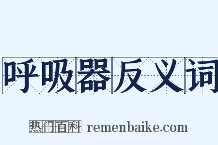 呼吸器反义词是什么意思的图片